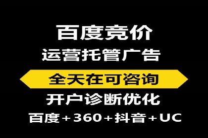 高效SEM托管公司案例对比分析